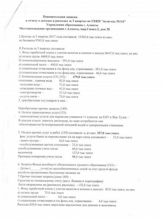 Отчет о доходах и расходах