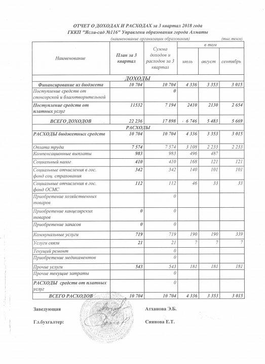 Отчет о доходх и расходах
